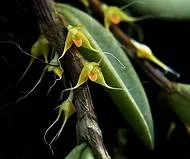 littletreedesignbiotopes834279