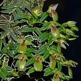 littletreedesignbiotopes834298