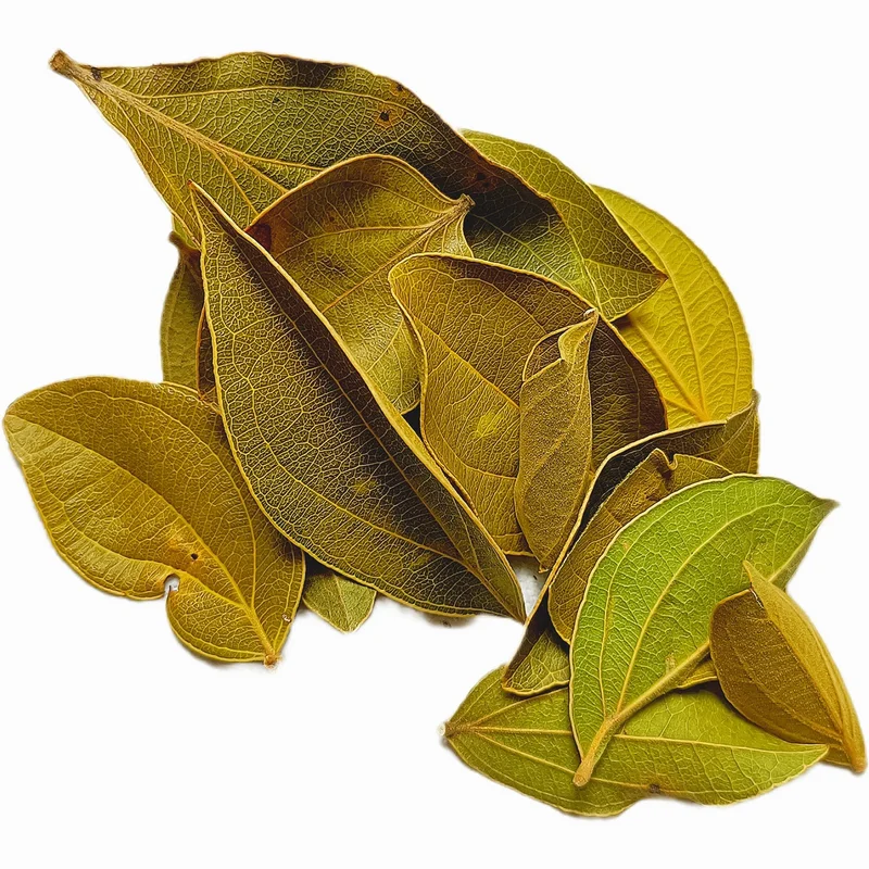 littletreedesignbiotopes834608