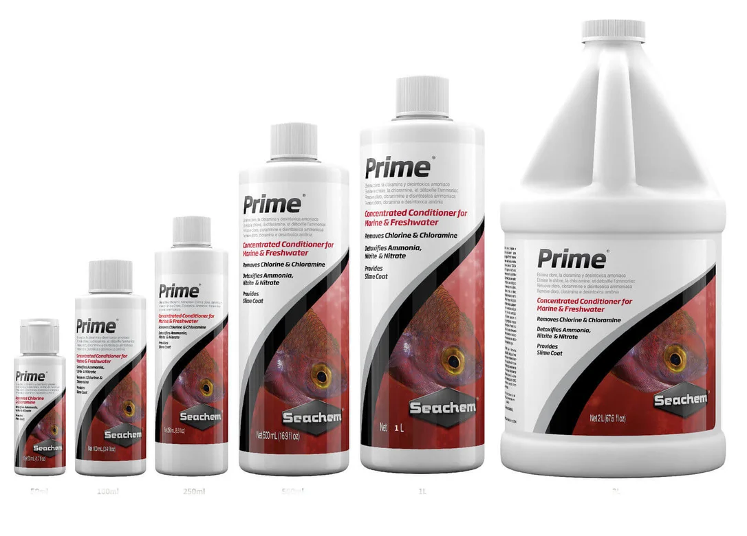 littletreedesignbiotopes834873