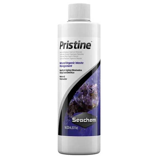 littletreedesignbiotopes834908