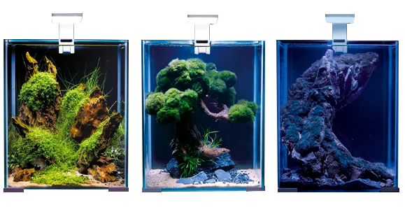 littletreedesignbiotopes835191