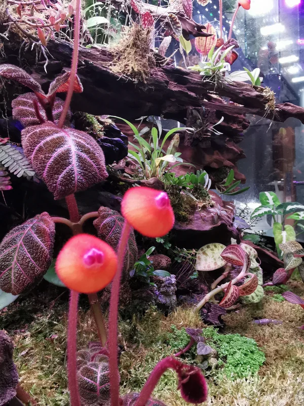 littletreedesignbiotopes835629