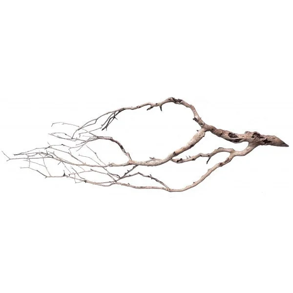 littletreedesignbiotopes835871