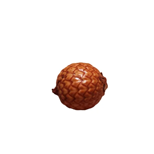 littletreedesignbiotopes835934
