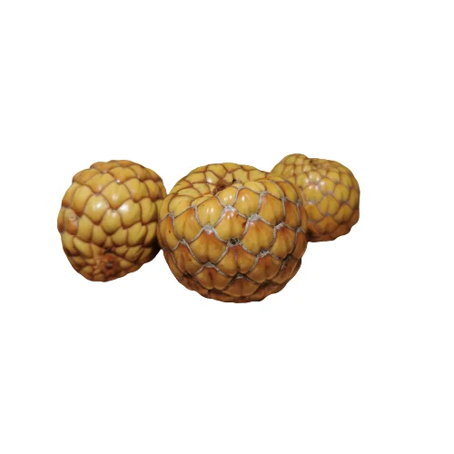 littletreedesignbiotopes835952