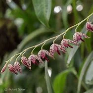 littletreedesignbiotopes836008