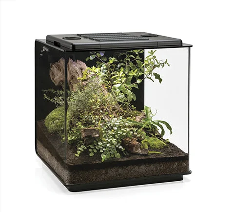 littletreedesignbiotopes837344