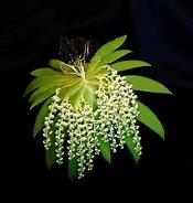 littletreedesignbiotopes837675