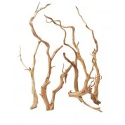littletreedesignbiotopes838457