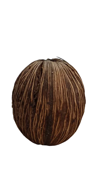 littletreedesignbiotopes838484