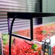 littletreedesignbiotopes838659