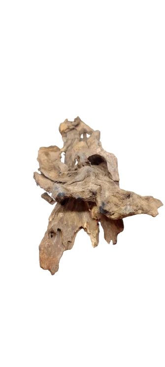 littletreedesignbiotopes839508