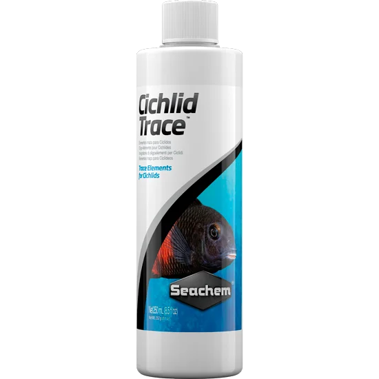 littletreedesignbiotopes840156