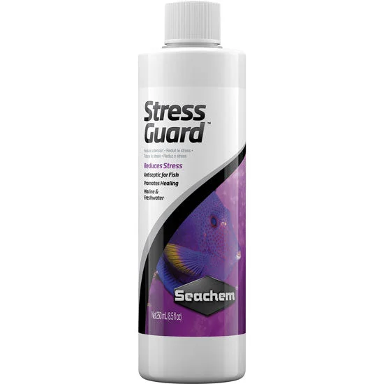 littletreedesignbiotopes840559