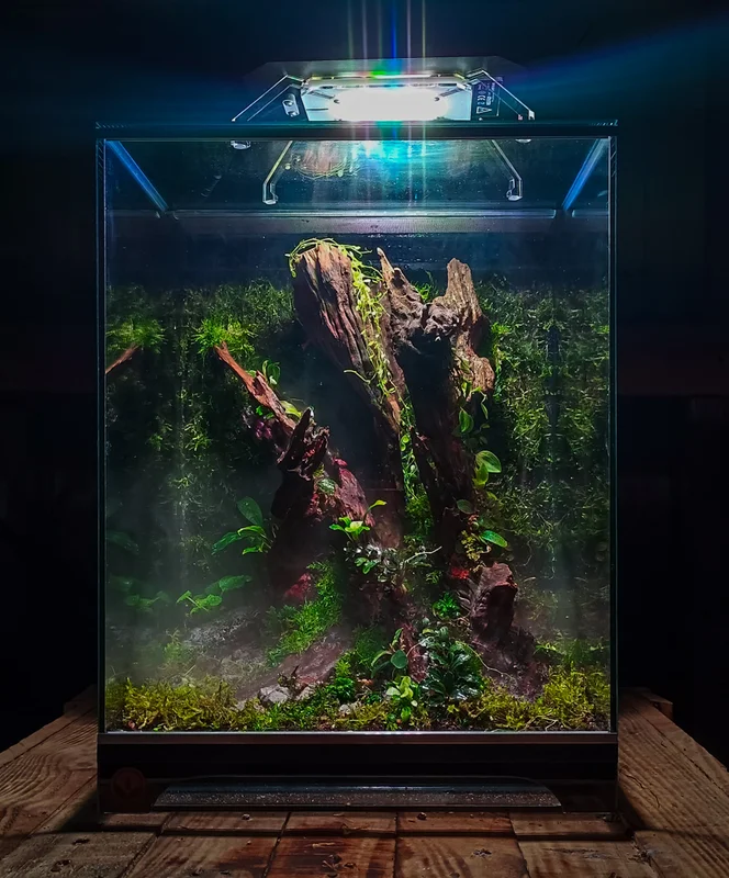 littletreedesignbiotopes841195