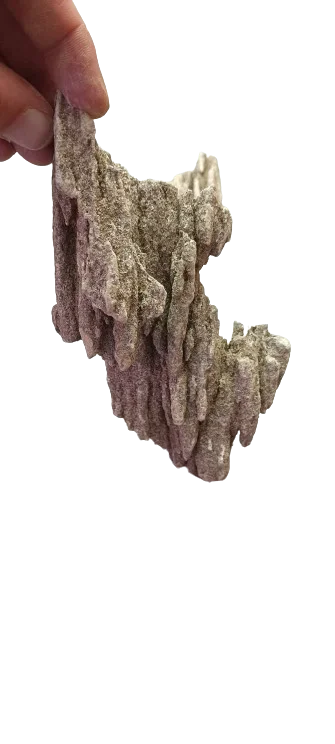 littletreedesignbiotopes842449