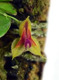 littletreedesignbiotopes842797
