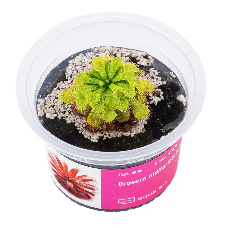 littletreedesignbiotopes843002