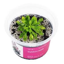 littletreedesignbiotopes843433