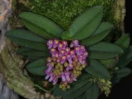 littletreedesignbiotopes843656