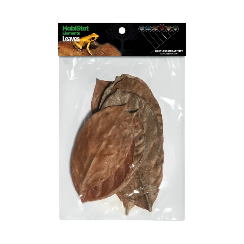 littletreedesignbiotopes845124
