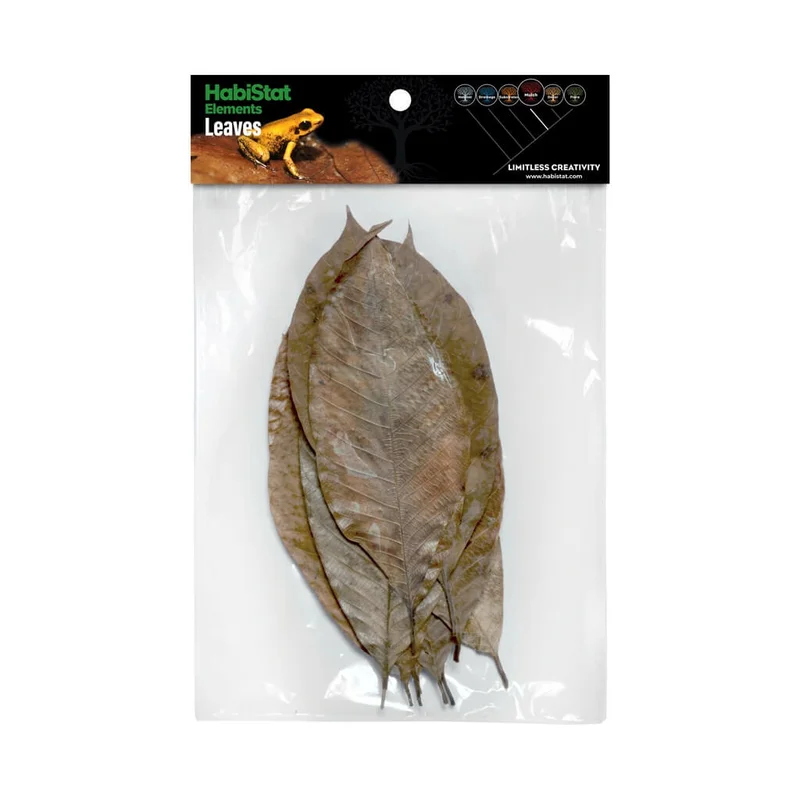 littletreedesignbiotopes845138