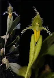 littletreedesignbiotopes845505