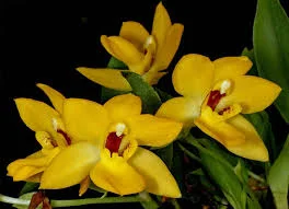 littletreedesignbiotopes845798