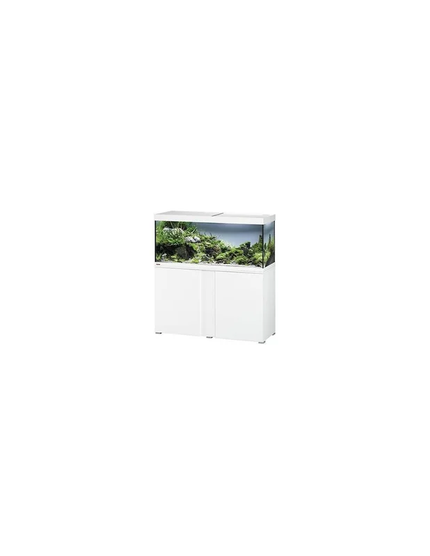 myfishroom825763