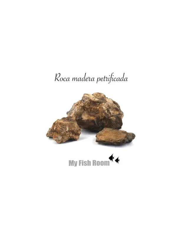 myfishroom827453