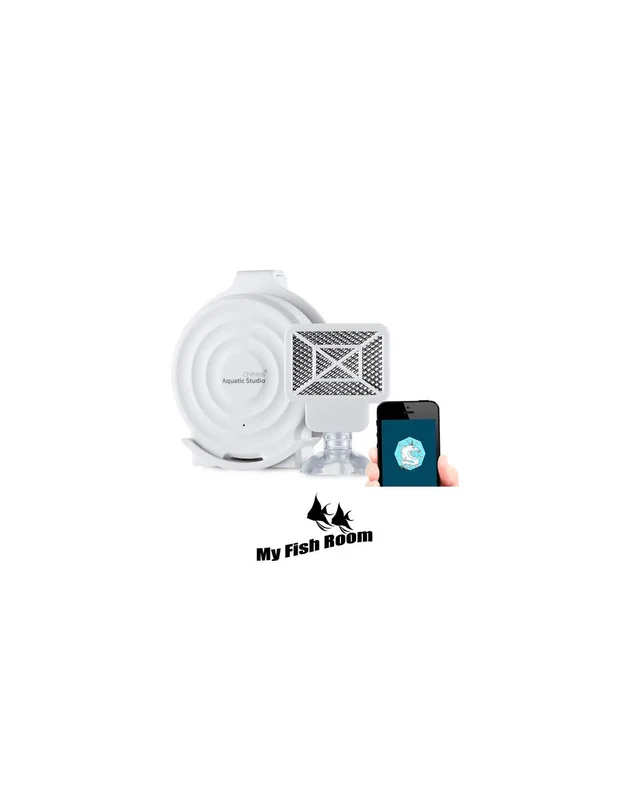 myfishroom839556