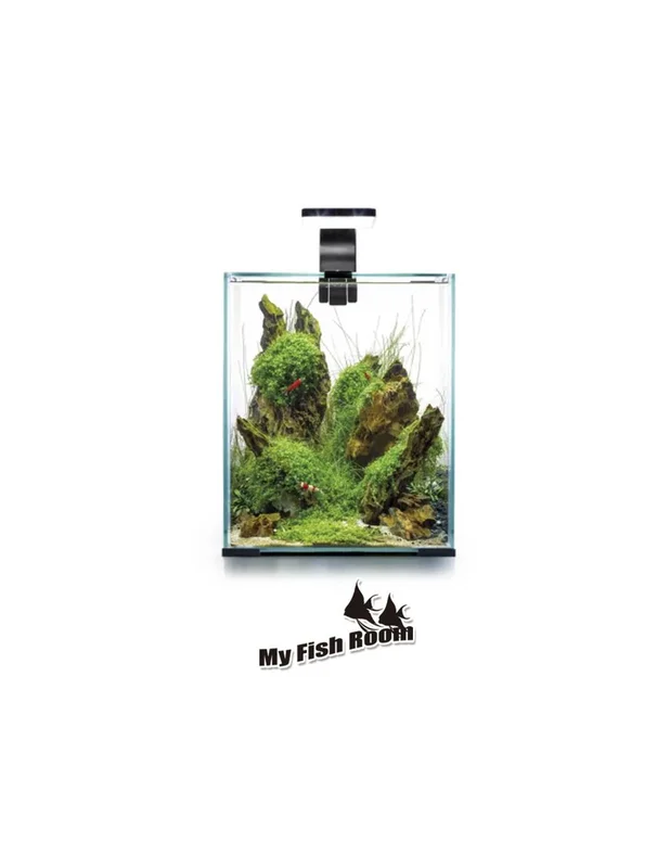myfishroom840892