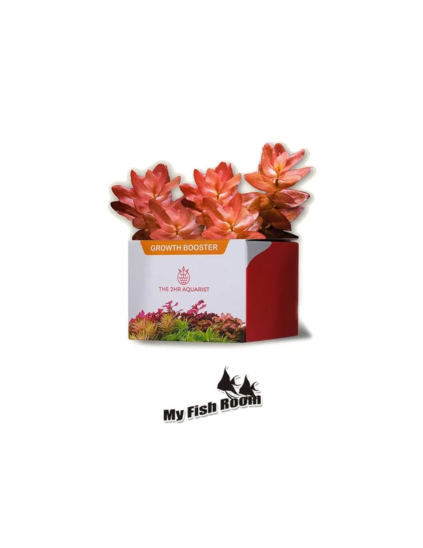 myfishroom842324