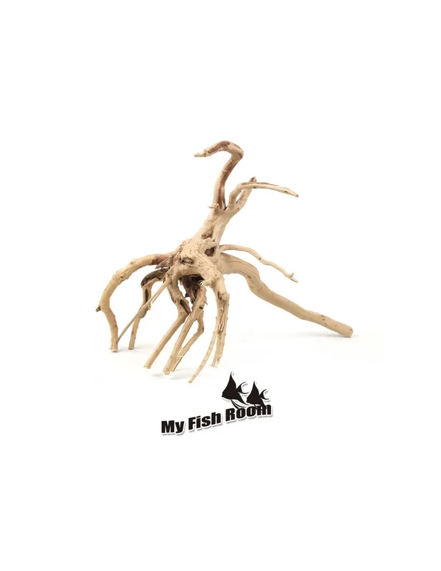 myfishroom843432