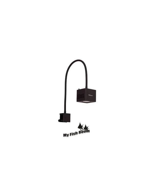 myfishroom844015