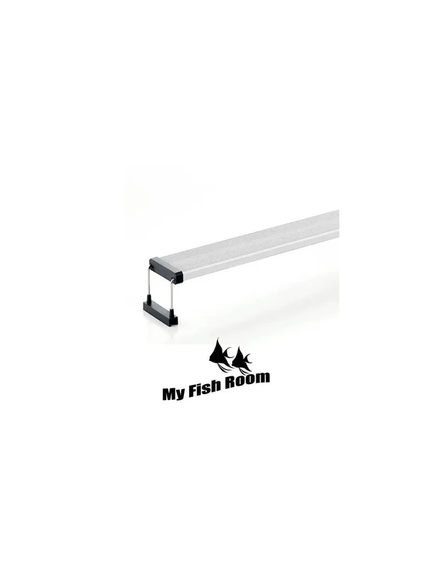 myfishroom844593