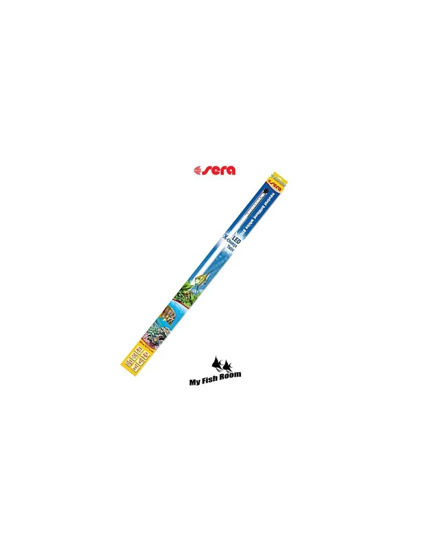 myfishroom849704