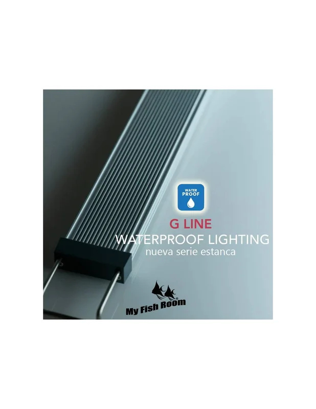 myfishroom851562
