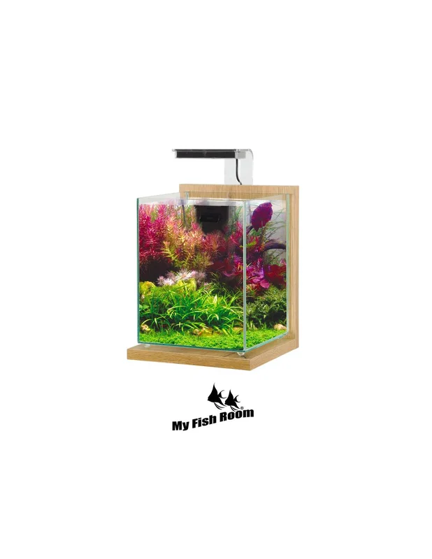 myfishroom851660