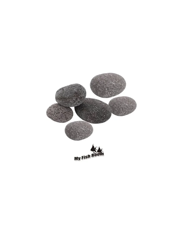 myfishroom853741