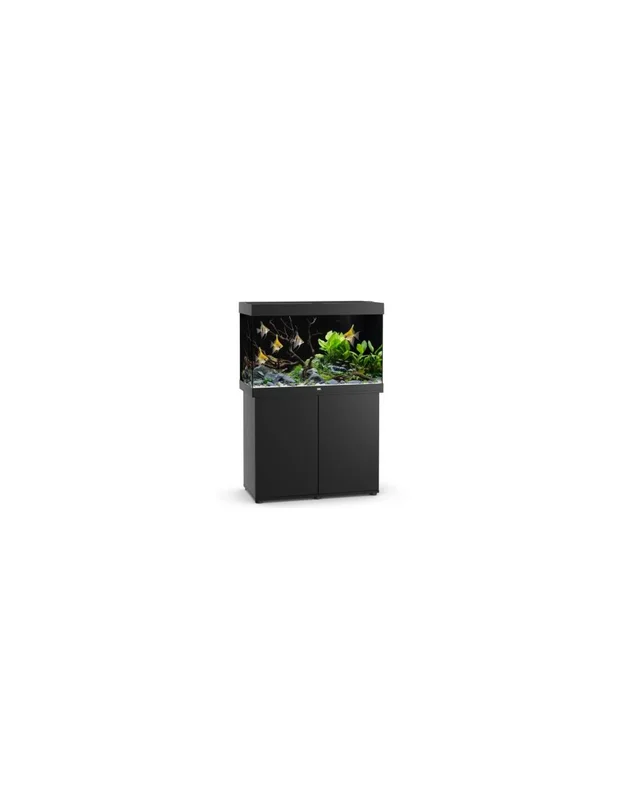 myfishroom855844