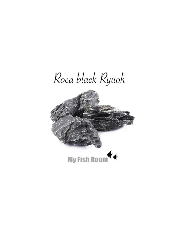 myfishroom857783