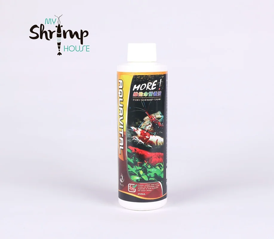 myshrimphouse825805