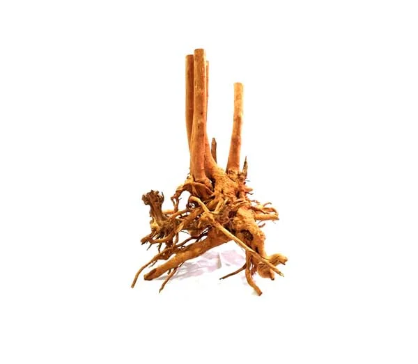 myshrimphouse829830