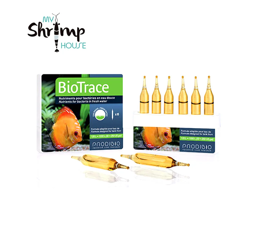 myshrimphouse836188