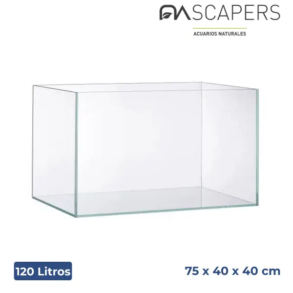 nascapers825698