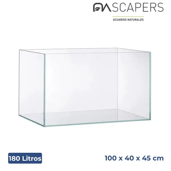nascapers825751