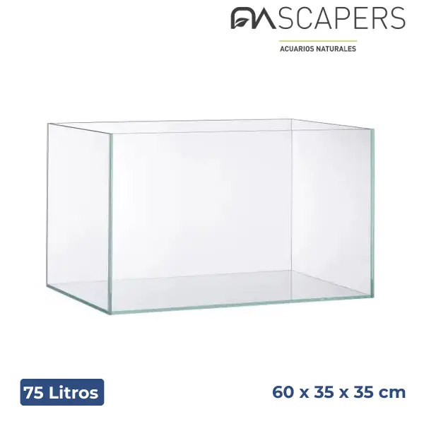 nascapers825796