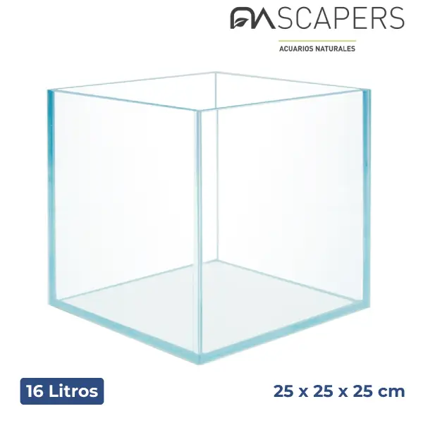 nascapers825935